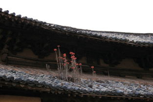 云南建水元阳休闲自助游