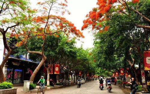 去建水旅游,你一定要做的事 你知道是哪些吗