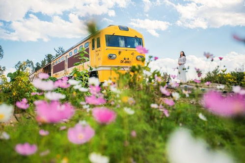 四大系列活动云端引爆2021就爱去建水旅游文化节